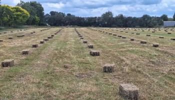 Conventional Bales